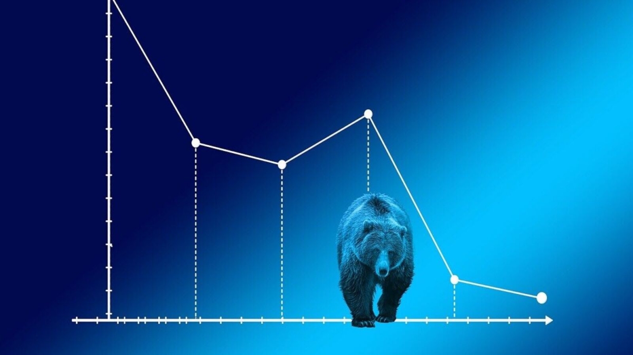 bear-market-pixabay_1735882704172_1768192691635.jpg