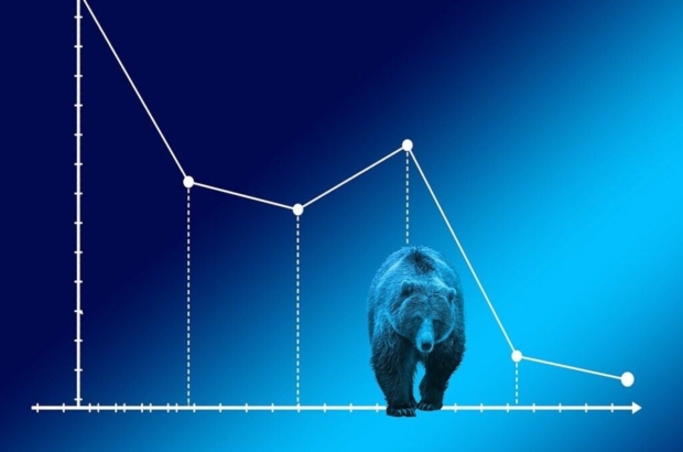 bear-market-pixabay_1735882704172_1768192691635.jpg