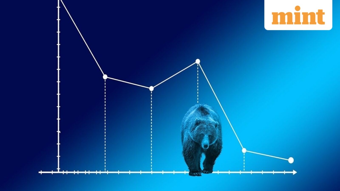 bear-market-pixabay_1735882704172_1773226689120.jpg