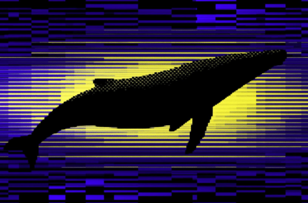 4f059f39323dd3bad2e7484a3b6006537e631cbf-3840x2160.png