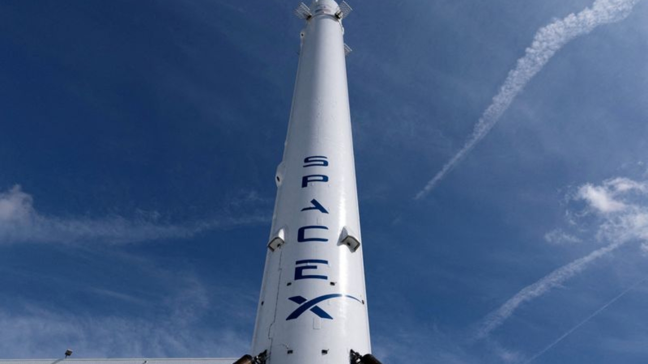 LYNXMPEM4P28O_L.jpg