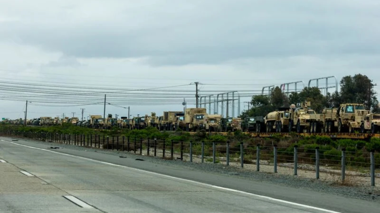 LYNXMPEM591JP_L.jpg