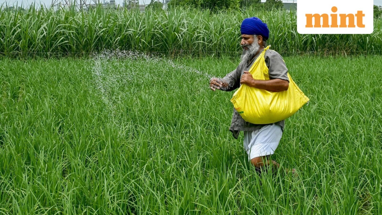 Rashtriya_Chemicals_and_Fertilisers_FPO_1783482471196_1783482471313_1cb9b403-85ea-497f-84f8-c01ca3c1.jpeg