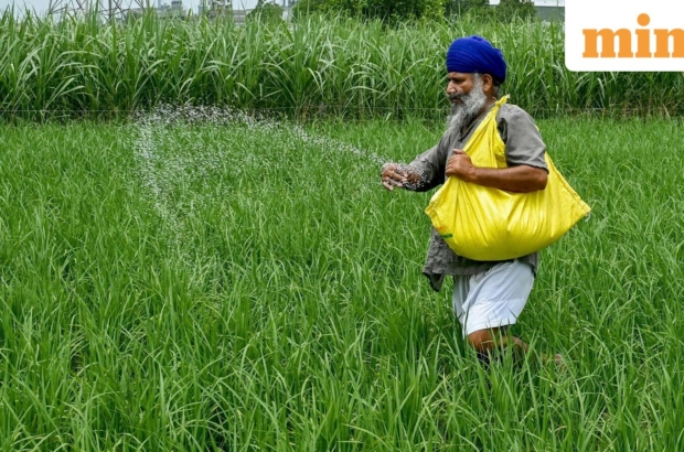 Rashtriya_Chemicals_and_Fertilisers_FPO_1783482471196_1783482471313_1cb9b403-85ea-497f-84f8-c01ca3c1.jpeg
